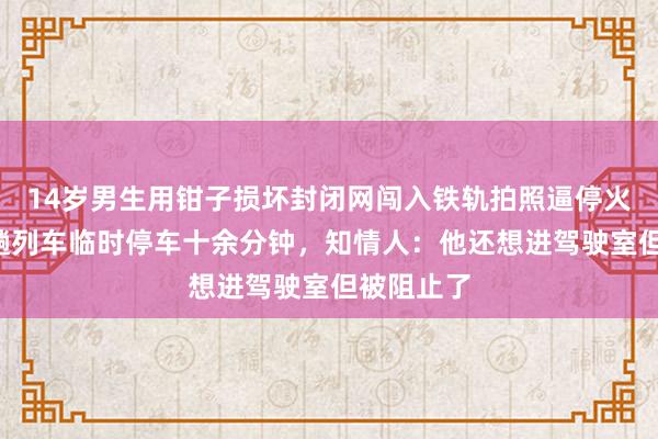 14歲男生用鉗子損壞封閉網(wǎng)闖入鐵軌拍照逼停火車，致3趟列車臨時(shí)停車十余分鐘，知情人：他還想進(jìn)駕駛室但被阻止了