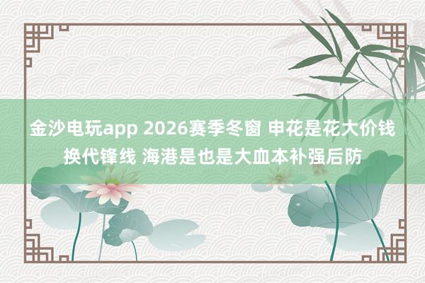 金沙電玩app 2026賽季冬窗 申花是花大價錢換代鋒線 海港是也是大血本補(bǔ)強(qiáng)后防
