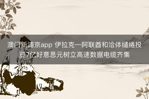 澳門新浦京app 伊拉克—阿聯酋和洽體繾綣投資7億好意思元樹立高速數據電纜齊集