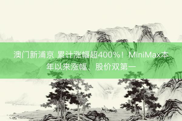 澳門新浦京 累計漲幅超400%！MiniMax本年以來漲幅、股價雙第一
