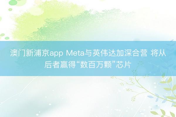 澳門新浦京app Meta與英偉達加深合營 將從后者贏得“數百萬顆”芯片