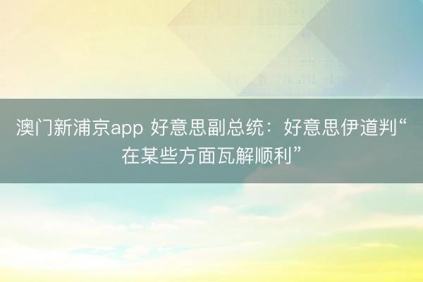 澳門新浦京app 好意思副總統(tǒng)：好意思伊道判“在某些方面瓦解順利”