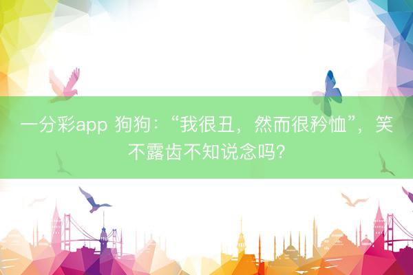 一分彩app 狗狗：“我很丑，然而很矜恤”，笑不露齒不知說念嗎？