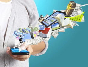 淺談B2C電子商務模式 概念、特點及其在日用品銷售中的應用